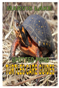 Spotted Pond Turtles Care Guides