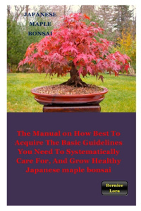 Japanese Maple Bonsai