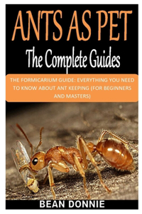 Ants as Pet the Complete Guides