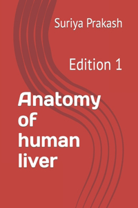 Anatomy of human liver