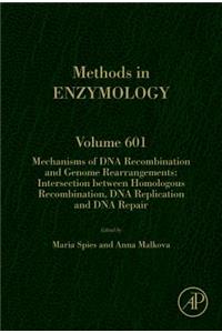 Mechanisms of DNA Recombination and Genome Rearrangements: Intersection Between Homologous Recombination, DNA Replication and DNA Repair