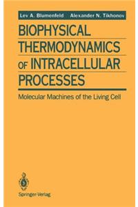 Biophysical Thermodynamics of Intracellular Processes