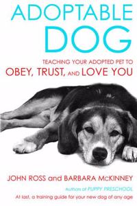 Adoptable Dog