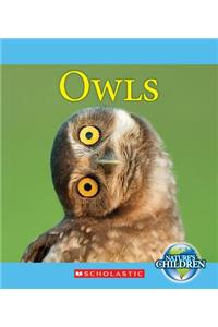 Owls