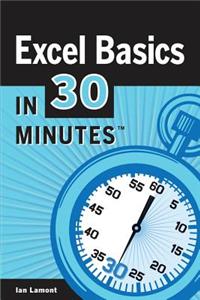 Excel Basics in 30 Minutes