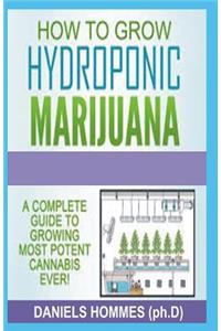 How to Grow Hydroponics Marijuana