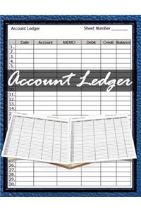 Accounting Ledger