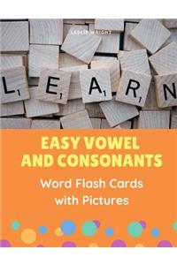 Easy Vowel and Consonants Word Flash Cards with Pictures