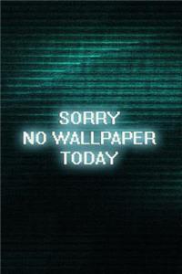 Sorry No Wallpaper Today