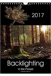 Backlighting in the Forest 2017: Backlighting is One of the Most Attractive Forms of Lighting for Photography and Creates Interesting Highlights (Calvendo Nature)