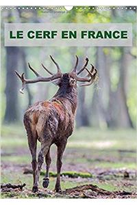 Cerf En France 2017