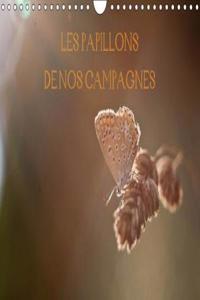 Papillons De Nos Campagnes 2018