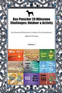 Das Pinscher 20 Milestone Challenges