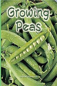 Rigby Flying Colors: Leveled Reader Bookroom Package Green Growing Peas