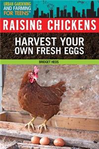 Raising Chickens