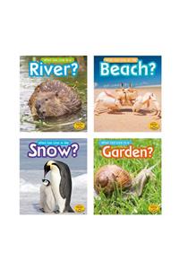 What Can Live There?