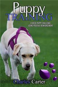 Puppy Training