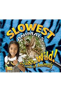 Slowest Animals