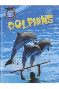 Dolphins