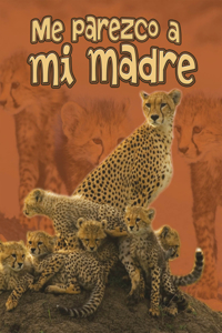 Me Parezco a Mi Madre