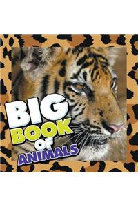 Big Book of Animals