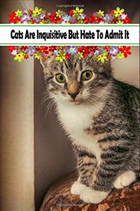 Cats Are Inquisitive But Hate To Admit It
