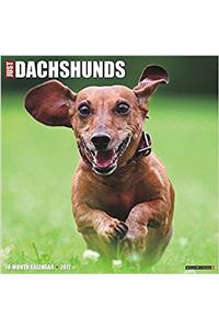 Just Dachshunds 2017 Wall Calendar