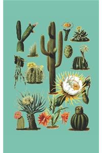Succulent Care Journal