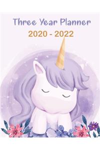 2020-2022 Three Year Planner