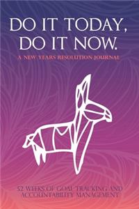 DO IT TODAY, DO IT NOW. - New Years Resolution Journal