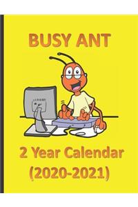 Busy Ant 2 Year Calendar (2020-2021)