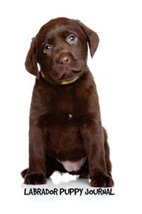 Labrador Puppy Journal