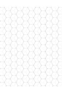 Hexagon Notebook (Atom)