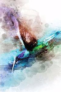 Hummingbird Journal
