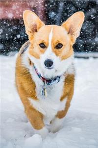Corgi Notebook