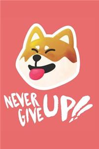 Never Give Up