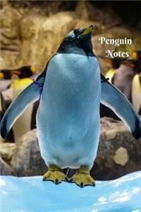 Penguin Notes