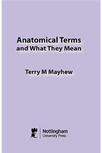 Anatomical Terms and What They Mean