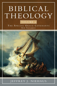 Biblical Theology, Volume 3