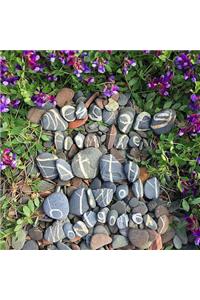 Messages from the Earth