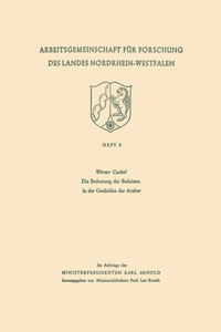 Bedeutung der Beduinen in der Geschichte der Araber