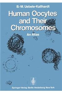 Human Oocytes and Their Chromosomes