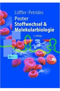 Poster Stoffwechsel