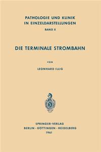 Die Terminale Strombahn