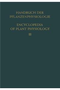 Pflanze Und Wasser / Water Relations of Plants