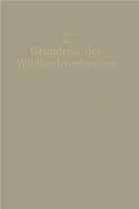 Grundriß Der Wildbachverbauung