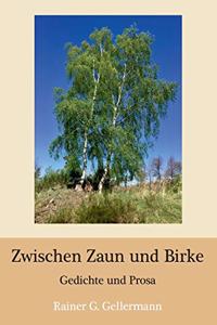 Zwischen Zaun und Birke