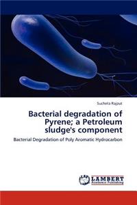 Bacterial degradation of Pyrene; a Petroleum sludge's component