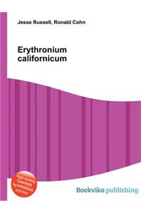 Erythronium Californicum