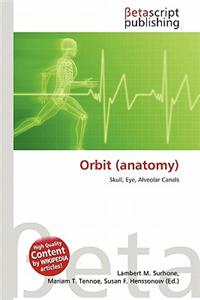 Orbit (Anatomy)